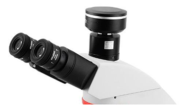 OPTO-EDU A12.2263 Infinity Trinocular Biological Laboratory Microscope