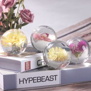 Fashion Crystal Ball Paperweight , Resin Dandelion Paperweight