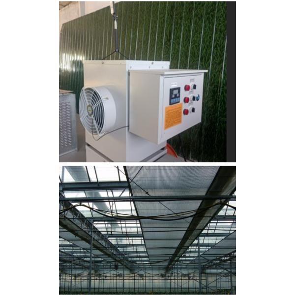 Intelligent Venlo Glass Greenhouse for Bean Growth