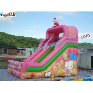 Cute Cat Commercial Inflatable Slide , Childrens Small Dry Slide Slip Inflatable