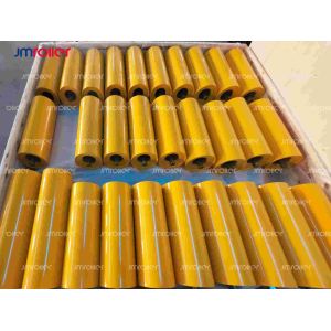 Long Lasting Sealed Bearing Carrying Roller for Dust and Moisture Protection