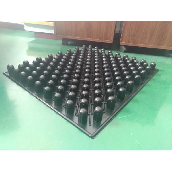 16*9 blister black trays for seeding PS
