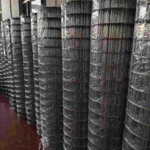 304 Stainless Steel Welded Wire Mesh Is Used In Pigsties And Sheep Pens