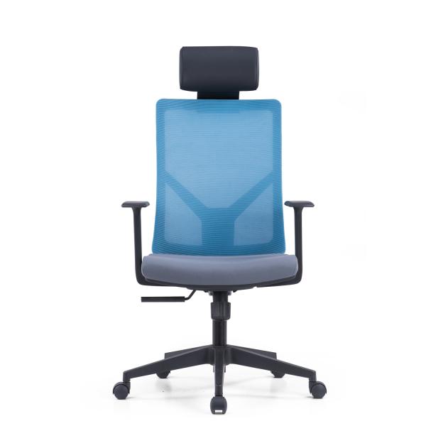 Executive Ergonomic Office Chair with Traditional Design Style and BIFMA Certificate