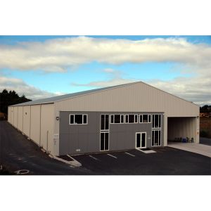 Custom Steel Structure Building for Industrial Warehouse