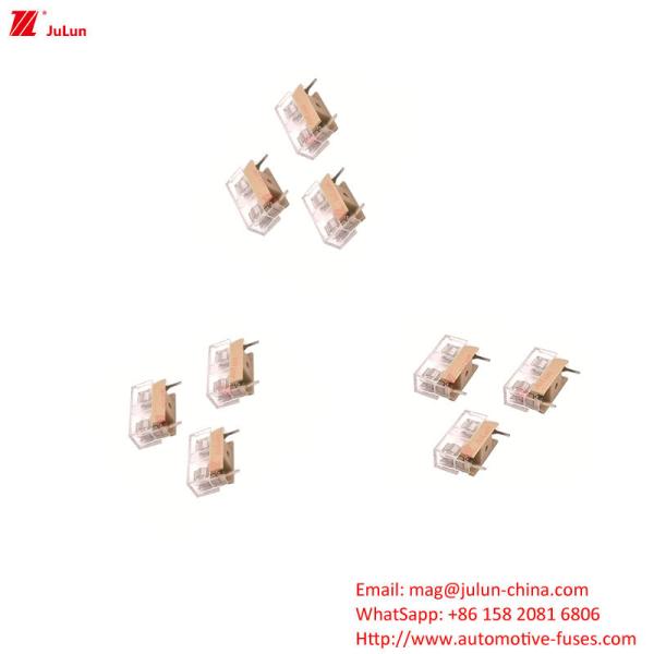ANS / MIDI Small Fuse Holder Copper Contact 32V Nylon Mooring Circuit Breaker