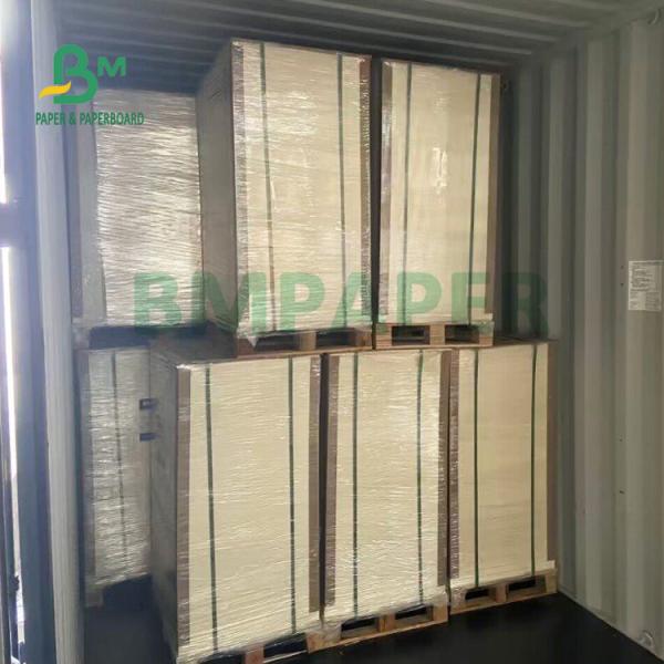 230gsm+15gsm Durability PE Coated Cup Stock Paper For Soup Bowl 560mm X 700mm