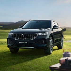 110kW/220N.m Maximum Power/Maximum Torque Dongfeng Voyah Free Hybrid PHEV 4WD