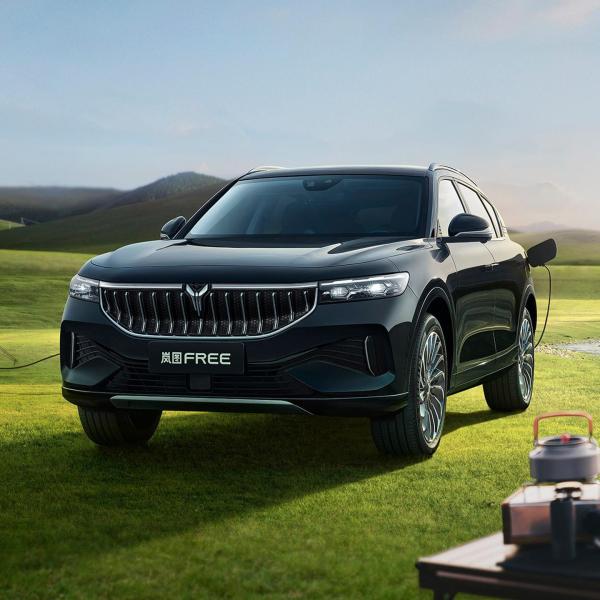 110kW/220N.m Maximum Power/Maximum Torque Dongfeng Voyah Free Hybrid PHEV 4WD