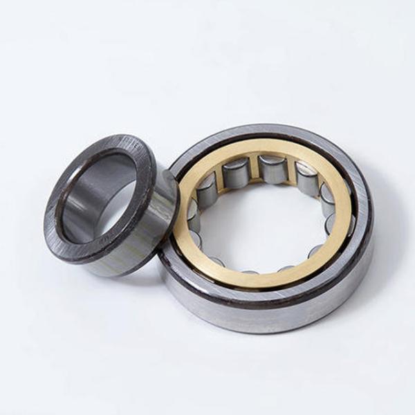 Buy Machinery Steel Single Row Cylindrical Roller Bearing NU 2305 at wholesale prices