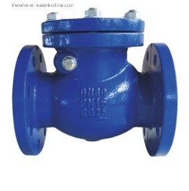 Manual Operation PN16 Flanged Ductile Iron Swing Check Valve for Customized Port