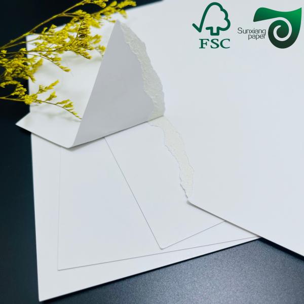FSC 300g 350g Coated Food Grade SBS Paper 900mm 1000mm For Food Package Boxes