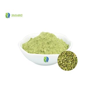 Quality Rutin Extract 95% Rutin for sale