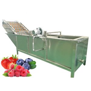 Industrial Mulberry Raspberry Berry Processing Equipment High Stability