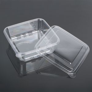 High quality hot disposable plastic transparent PET packaging cake,Disposable