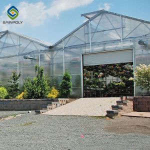 Garden Transparent Exhibition 10mm PC Sheet Greenhouse