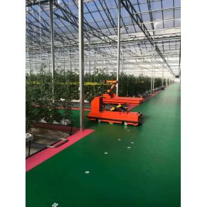 Steel Structure Humidity-Controlled Growing System Juxiang's Cutting-Edge