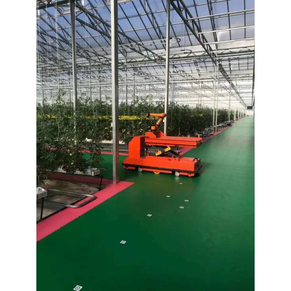 Steel Structure Humidity-Controlled Growing System Juxiang's Cutting-Edge