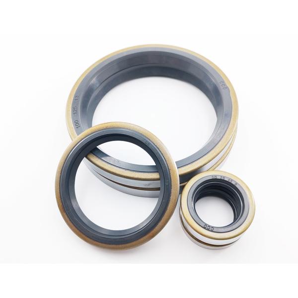 Mechanical NBR Oil Seals High Pressure Pump Sb Oil Seal Lip Rotary Sealer