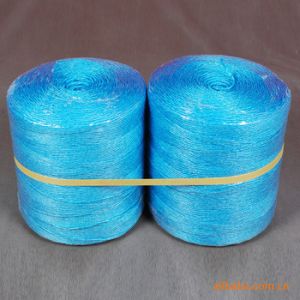 Quality 100% Virgin Polypropylene Twisted Greenhouse Twine For Tomato Tying for sale