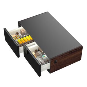 60W Power Smart Refrigerator With Wireless Charging USB and Dual Temperature