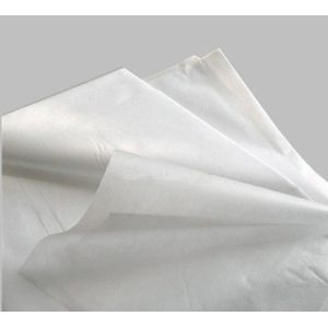Beauty Salon SPA 100*220cm 50gsm Disposable Bed Cover Roll