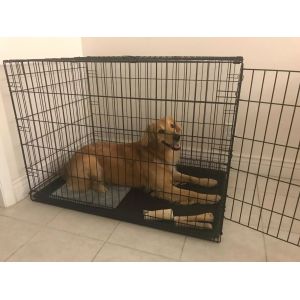 Plastic Base Pan 36in Metal Dog Crates For Safety