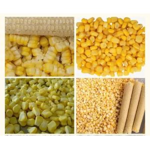 Industrial Vacuum Fruit Food Freeze Dryer Industrial Food Fruit Freeze Drying