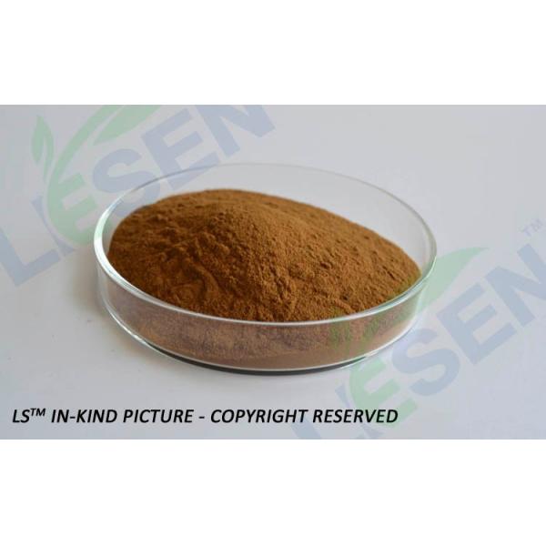 Plant medicine extracts cynara scolymus extract/artichoke leaf extract