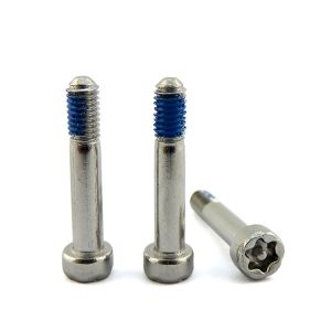 China Custom Stainless Steel Torx Pin Socket Head Anti-Theft Captive Screw on sale