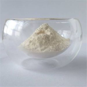 Quality 10:1 wholesale garcinia cambogia in bulk for sale