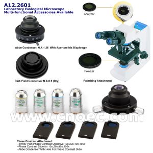 WF10x/18mm 40X 1000X Quadruple Nosepiece Learning Compound Optical Microscope