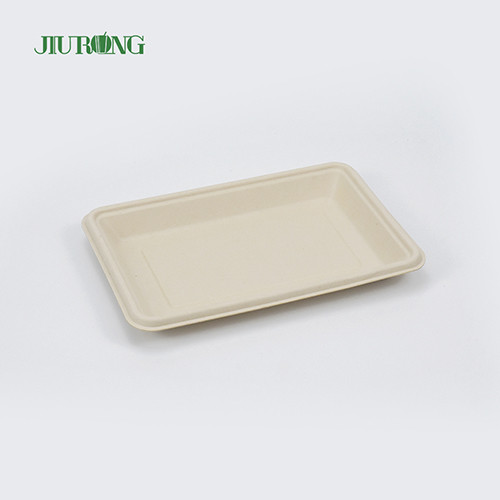 Buy Square Disposable biodegradable sugarcane plates 160mm for Hamburger Bread at wholesale prices