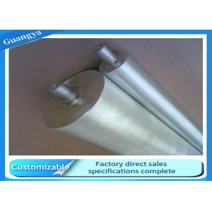20mm Shaft SS304 Gravity Conveyor Roller C3 Clearance