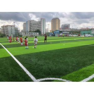 China 50mm Stem Shape Artificial Football Pitches With Disease Resistance on sale