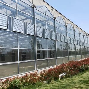 Venlo Glass Greenhouse for Eggplant Planting with Energy - Saving Design