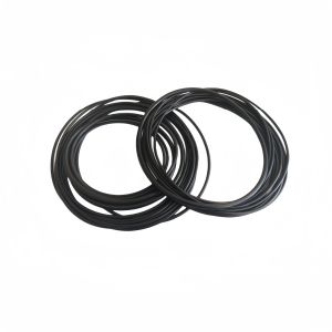 Custom Colors All Sizes 40~95 Shore A Hardness FKM Rubber O Ring Seal for