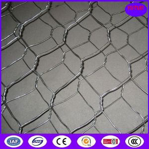 Quality 1&quot;*2m White Chicken Wire Mesh for sale