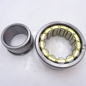 Rollway Cylindrical Taper Roller Bearing NU2314E With 70X150X51MM