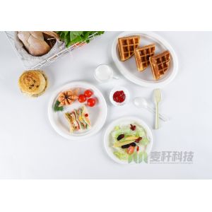 Disposable Sugarcane Bagasse Dishes Compostable Biodegradable Plates Dinnerware
