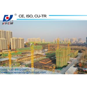 1.5ton Tip Load 160m Attaching Height Model Tower Crane 6tons Topless Tower