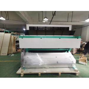 High Speed Automatic Peeled CCD Color Sorter Machine GARLIC Clove Color Sorting