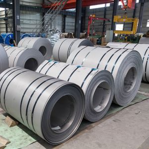 BV Mild Steel Hot Rolled Coil