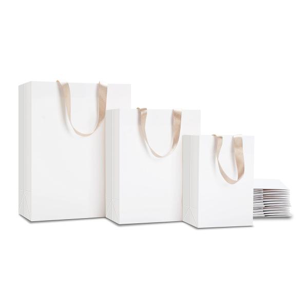 Custom Logo Popular Boutique Shopping Paper Bag in Gravure Print Design for Shoes