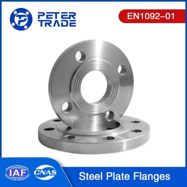 EN1092-01 TYPE 01 Carbon Steel Plate Flange PN 2.5 PLRF Raised Face For