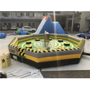 Inflatable Last Man Standing