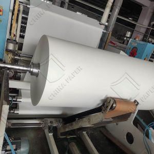 Custom Tissue Paper Super Water Absorbent and Flushable 100% Virgin Pulp High