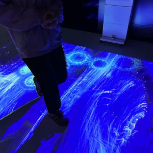 Mobile Interactive Floor Projection System with 1280*800 Resolution and 110V