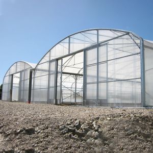 Agricultural Polycarbonate Sheet Greenhouse Turnkey Project Serre Agricole