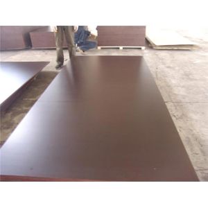 Construction Brown Film Faced Plywood Customized Thickness First Class